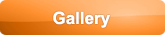 Gallery button icon